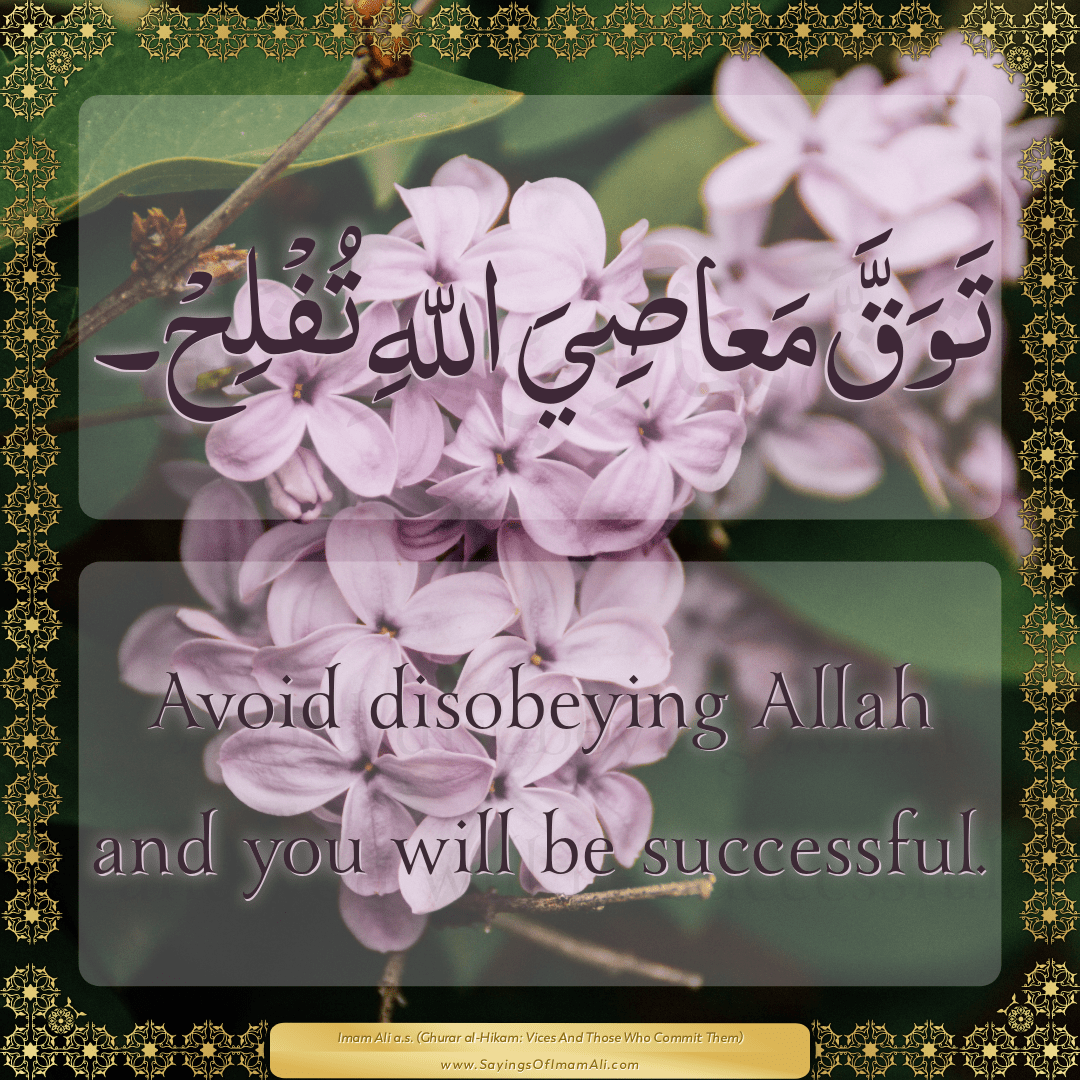 Avoid disobeying Allah and you will be successful.